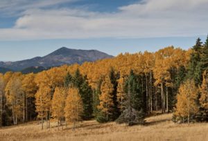 arizona rv camping area